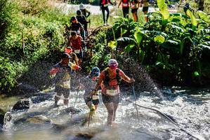 BIB: 
                            <button type="button" onclick="openModal(19317107)" class="btn btn-primary btn-sm float-right btn-popup" data-toggle="modal" data-target=".modal-high-quality">
                        <i class="fas fa-shopping-cart"></i> Add to Cart
                    </button>
                                            <button type="button" onclick="isThisMe(19317107, true)" class="btn btn-success btn-sm float-right btn-popup btn-isme hidden" data-toggle="tooltip" data-placement="bottom" title="นี่คือรูปของคุณใช่ไหม คลิกที่นี่เพื่อเอาเข้าอัลบั้ม">
                        <i class="fas fa-plus"></i> Add to album
                    </button>
                    <button type="button" onclick="isThisMe(19317107, false)" class="btn btn-warning btn-sm float-right btn-popup btn-isnotme hidden">
                        <i class="fas fa-ban"></i> Remove from album
                    </button>